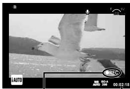 OLYMPUS OM-D E-M10 - Enregistrement de videos - 2