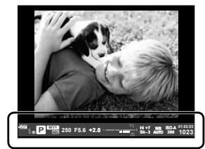 OLYMPUS OM-D E-M10 - Affichage du viseur lors de la prise de vue à l'aide du viseur - 1