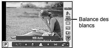 OLYMPUS OM-D E-M10 - Ajustement de la couleur (balance des blancs) - 2