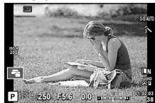 OLYMPUS OM-D E-M10 - Ecran - 1