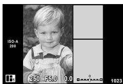 OLYMPUS OM-D E-M10 - Prenez une image pour le premier cadre. - 1