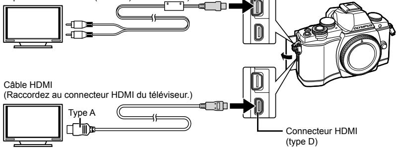 OLYMPUS OM-D E-M10 - Visualisation de photos sur la TV - 1