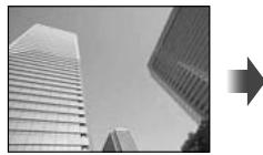 OLYMPUS OM-D E-M10 - Contrôle de l'exposition (compensation d'exposition) - 3