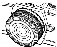 OLYMPUS OM-D E-M10 - (ED14-42mm f3.5-5.6EZ) - 1