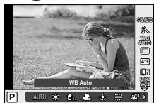 OLYMPUS OM-D E-M10 - Ecran - 4