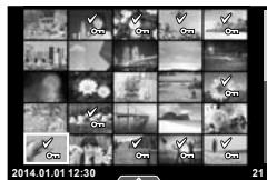 OLYMPUS OM-D E-M10 - Sélection des images - 1