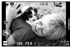 OLYMPUS OM-D E-M10 - Prise de vue - 2