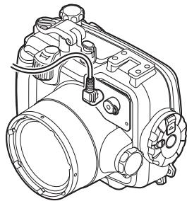 OLYMPUS PT-054 - Raccordement du cable fibre optique sous-marin - 2