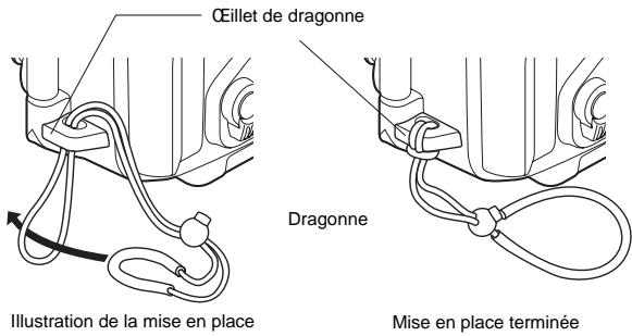 OLYMPUS PT-054 - Mise en place de la dragonne - 1