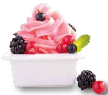 MAGIMIX GELATO EXPERT 11680 - Conseil - 1