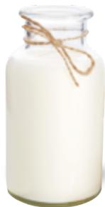 MAGIMIX GELATO EXPERT 11680 - Regel 2: De rol van de ingredienten - 1