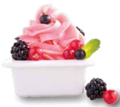 MAGIMIX GELATO EXPERT 11680 - Advice - 1