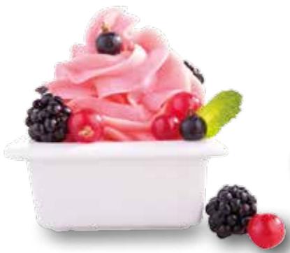 MAGIMIX GELATO EXPERT 11680 - Tipp - 1