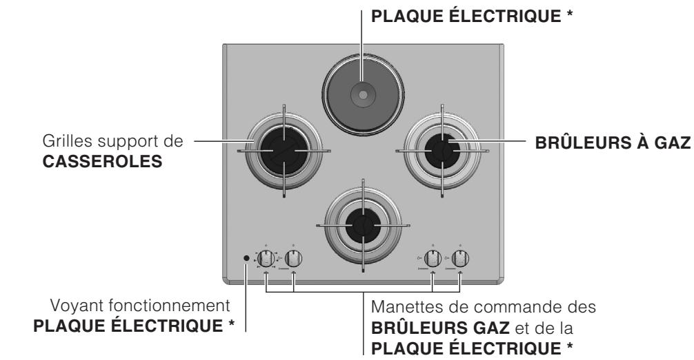 HOTPOINT TD 640 S,  TD 640 S ICE - Vue d'ensemble - 1