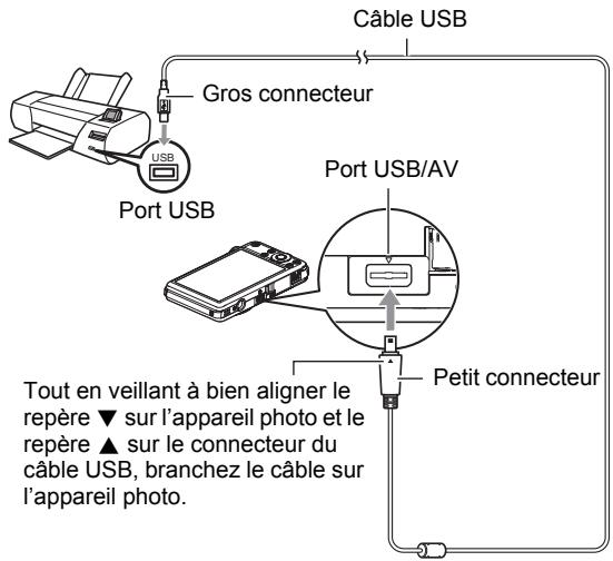 CASIO EXILIM 12.1 - Raccordement de l'appareil photo à une imprimante - 1