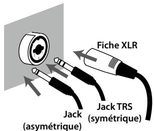 ROLAND OCTA-CAPTURE - Entrées combinées (INPUT 5~8) - 1