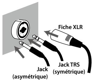 ROLAND OCTA-CAPTURE - Entrées combinées (INPUT 1~4) - 1