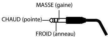 ROLAND OCTA-CAPTURE - Entrées combinées (INPUT 1~4) - 3