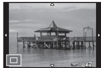 PENTAX QS1 - Mise au point avec l'image agrandie - 1