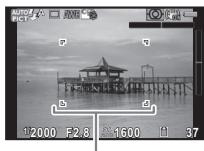 PENTAX QS1 - Placez le sujet dans la mire AF et appuyez sur le déclencheur à mi-course. - 1