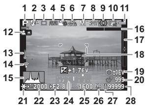 PENTAX QS1 - Etat de pause - 1