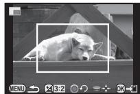 PENTAX QS1 - Recadrer une partie de l'image (Recadrer) - 1