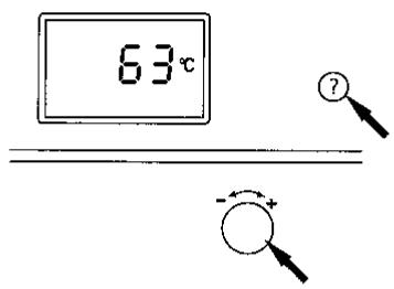 VIESSMANN VITOLA BIFERRAL TRIMATIK - Interrogier les températures - 2