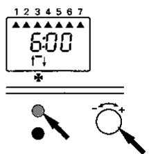 VIESSMANN VITOLA BIFERRAL TRIMATIK - Remarques importantes! - 1