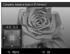 RICOH GR-II - Appuyez sur les touches ▲▼□ pour faire des ajustements ponctuels. - 1