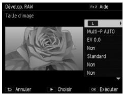 RICOH GR-II - Développement d'images RAW - 1