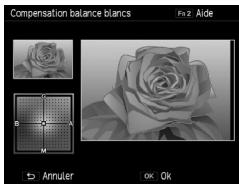 RICOH GR-II - Correction de la balance des blancs - 1