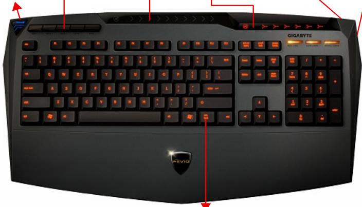 GIGABYTE AIVIA K8100 M6980X - 063op klaBnaTypbl - 7