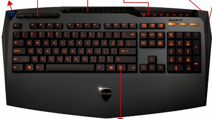 GIGABYTE AIVIA K8100 M6980X - 3.OrnaKlaBiaTpyn - 7