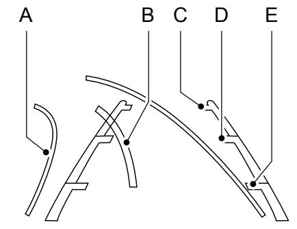 FORD FOCUS 2018 - Lignes de guidage de laamera - 1