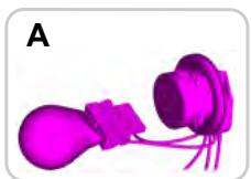 FORD FOCUS 2018 - Entretien - 1