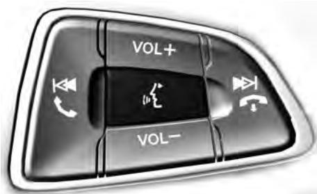 FORD FOCUS 2018 - COMMANDE VOCALE - 1