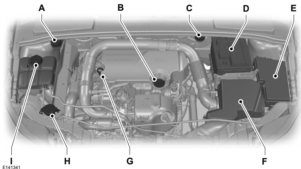 FORD FOCUS 2018 - APERCU SOUS LE CAPOT - 1.0L ECOBOOST™ - 1