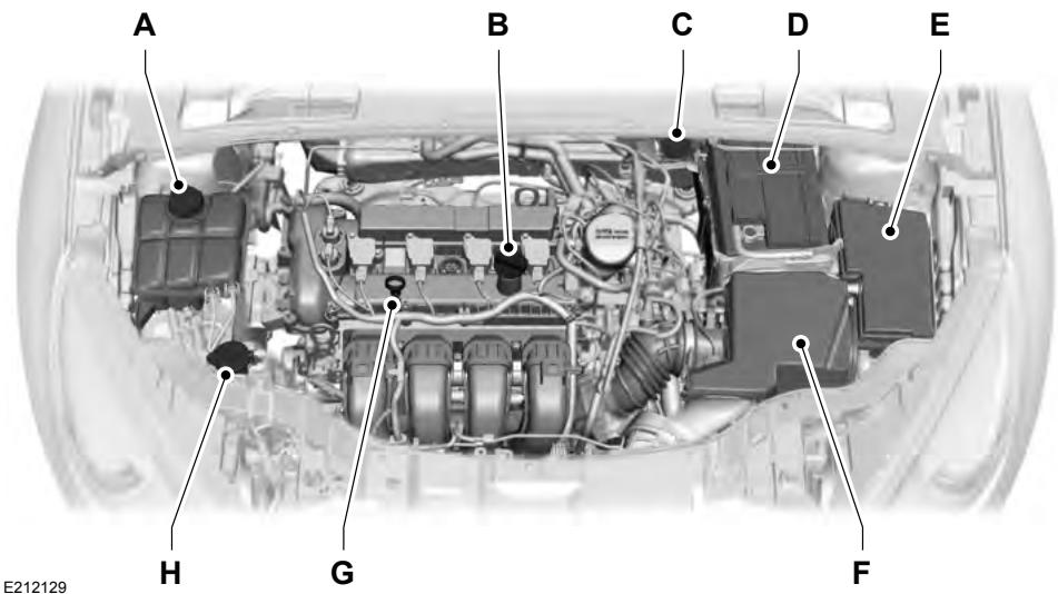 FORD FOCUS 2018 - APERÇU SOUS LE CAPOT - 2.0L - 1