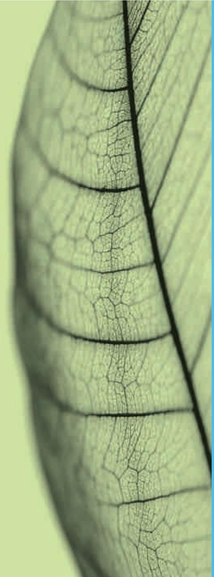 FORD TRANSIT CONNECT 2011 - Recycler pour de bon - 1