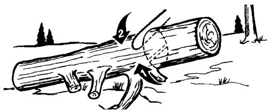 MCCULLOCH MCC1840BK-CA - 6-3. TRONCONNAGE - 2