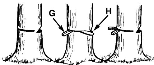 MCCULLOCH MCC1840BK-CA - ADVERTENCIA - 3