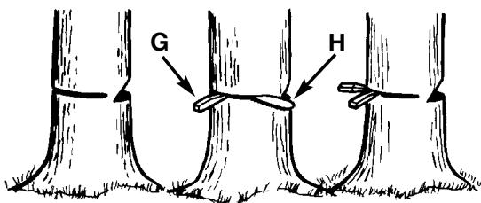 MCCULLOCH MCC1840BK-CA - AVENTISSEMENT - 3