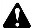 MTD 60-3856-2 - ELECTRICAL SAFETY WARNINGS - 1