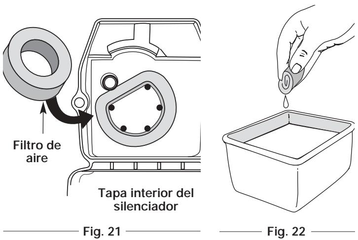 MTD RGBV3100 - Limpieza del Filtro de Aire - 1