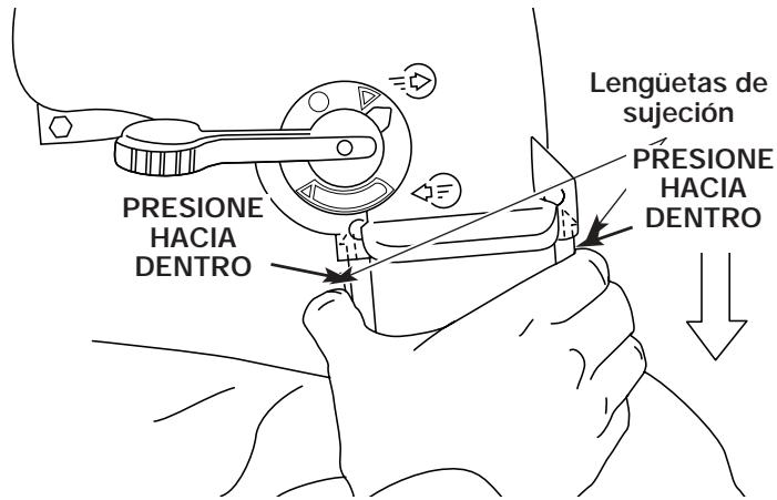 MTD RGBV3100 - Remoción - 1