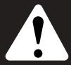 MTD RGBV3100 - CALIFORNIA PROPOSITION 65 WARNING - 1