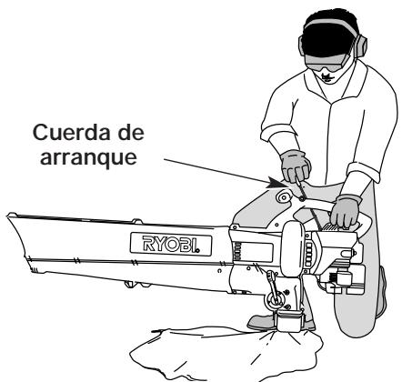 MTD RGBV3100 - INSTRUCCIONES DE ARRANQUE - 6