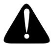 MTD RZT17 - WARNING: - 1