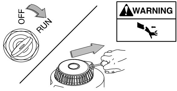 MTD RZT17 - REWIND (MANUAL) STARTER (auxiliary) - 1
