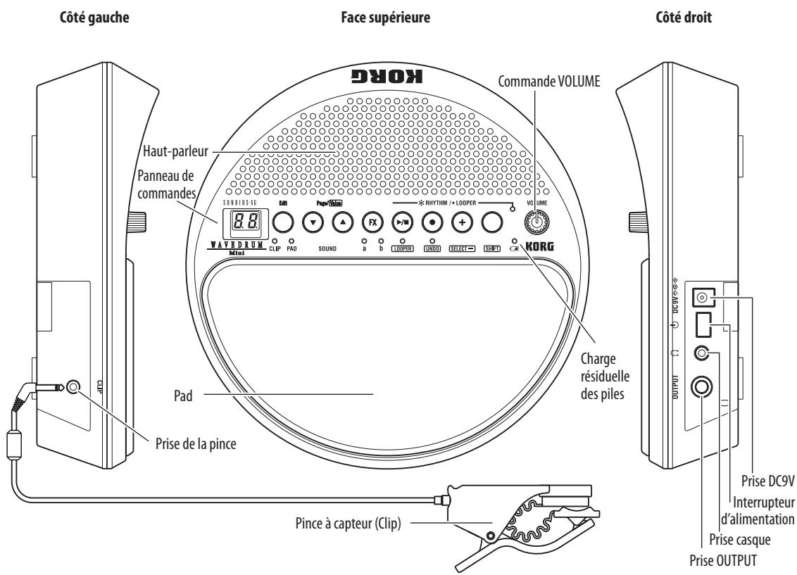 KORG WAVEDRUM MINI - Présentation du WAVEDRUM Mini - 1